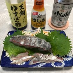 須磨沖  太刀魚  アジ