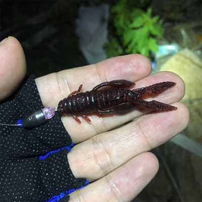 淀川ブリームゲーム キビレ探し