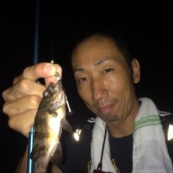 アジ ケンサキイカ調査とナイトゲーム