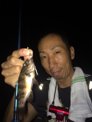 アジ ケンサキイカ調査とナイトゲーム