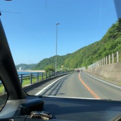 デカサバを求めて…