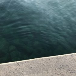 ロックフィッシュ狙い