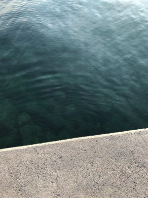 ロックフィッシュ狙い