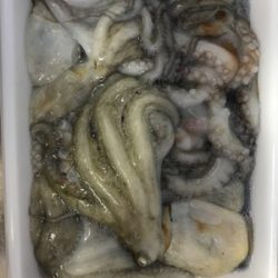 シェイクシェイクシェイク