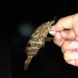 親父たちの釣行 第7弾