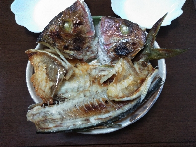 久し振りの海上釣堀オーパ！