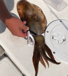 保田港から知り合いのボートで船釣り