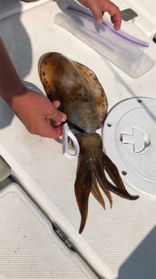 保田港から知り合いのボートで船釣り