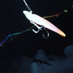 ワインドでサバ