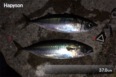 ようやくサバゲー成立