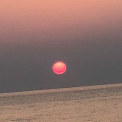 ライトショアジギング！