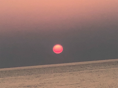 ライトショアジギング！