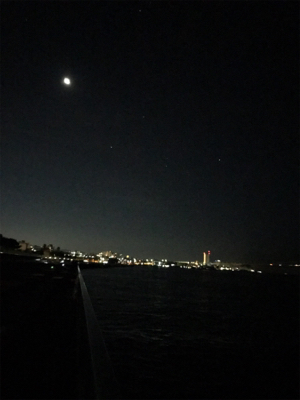 なんとかケンサキGET (^^;