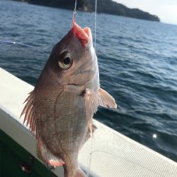 和歌山で落とし込み釣り