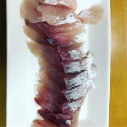 ジギングにてツバス