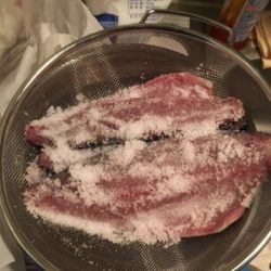 サバの時合いって…