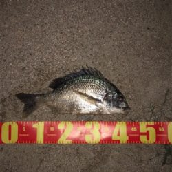 タイミングが合えば！！