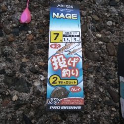 チョイ投げにて