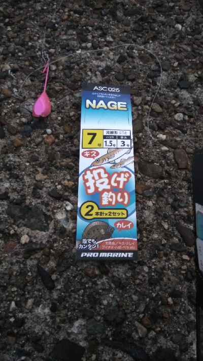 チョイ投げにて