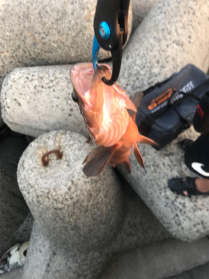 水温が高いのか(T . T)