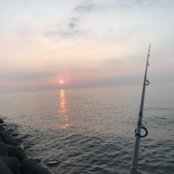 ワインドでタチウオ