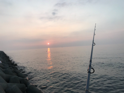 ワインドでタチウオ