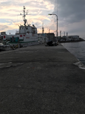 アジは何処に行きました？