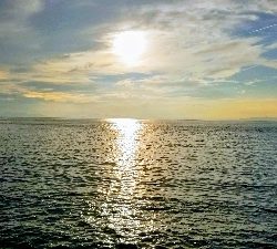 おもちゃの釣竿