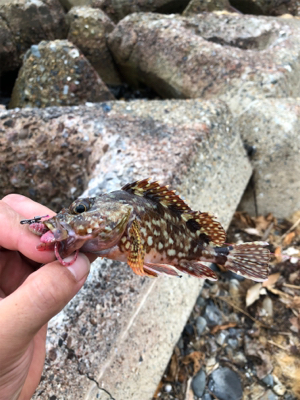 親父たちの釣行 第8弾