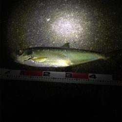 全く知らなかったです。