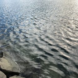 久しぶりの釣果となりました。