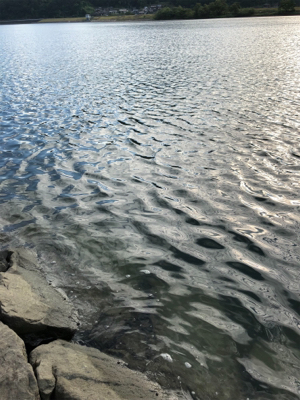 久しぶりの釣果となりました。