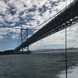 落とし込みサビキ  鳴門  まるかつ