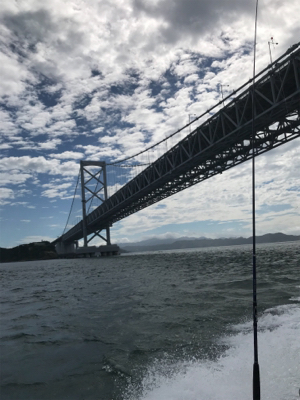 落とし込みサビキ  鳴門  まるかつ