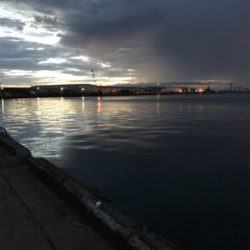 チャリコ祭りだ！