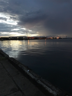 チャリコ祭りだ！