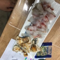 盆休み初日 朝マズメフカセ