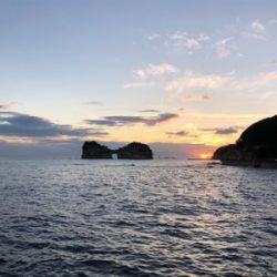 久しぶりのコロタマ