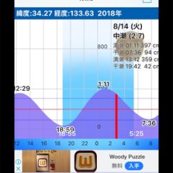 キジハタゲーム