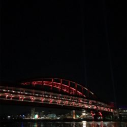 ナイトアジング