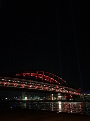 ナイトアジング