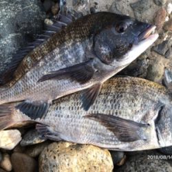 トップゲーム❷