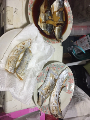 釣れてると情報を見て！