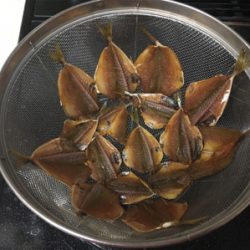 シオ回ってます