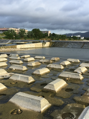 今日もデイナマ