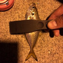 ナイトアジング2