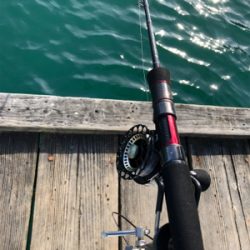 アタリが小さい