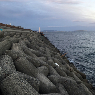 もう少しでハマチ