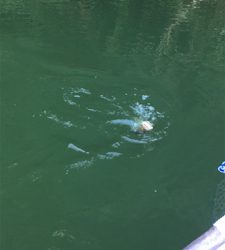 2か月ぶりの桜池