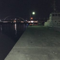 釣りガール  アジング